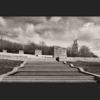 04499-Buchenwald.jpg