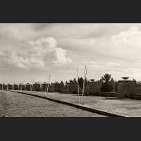04503-Buchenwald.jpg