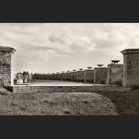 04509-Buchenwald.jpg