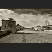04516-Buchenwald.jpg